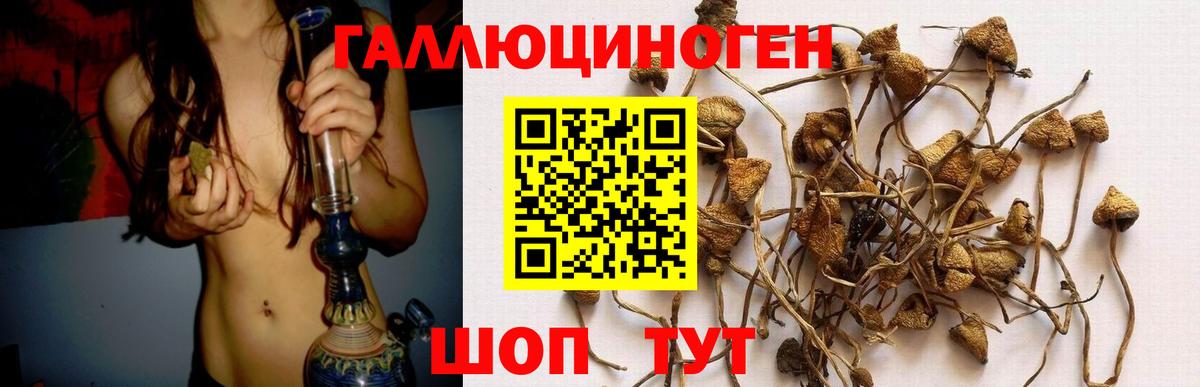 Псилоцибиновые грибы ЛСД Всеволожск