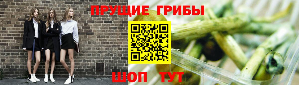 Всеволожск  продажа наркотиков  Галлюциногенные грибы Magic Shrooms  Вход с VPN  Галлюциногенные грибы прущие грибы 